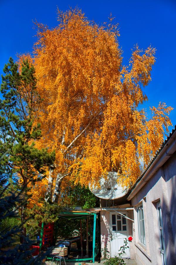 Tian-Shan Guest House Balyktschy Exterior foto